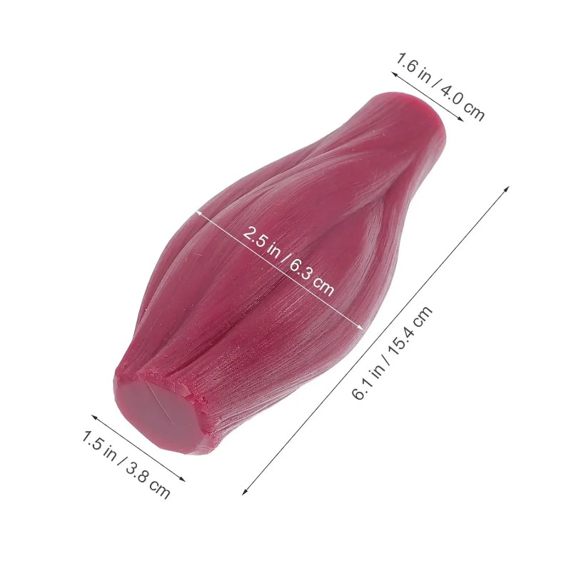 1-pound Human Muscle and Fat R - đánh giá và giá Fitness With Nutrition