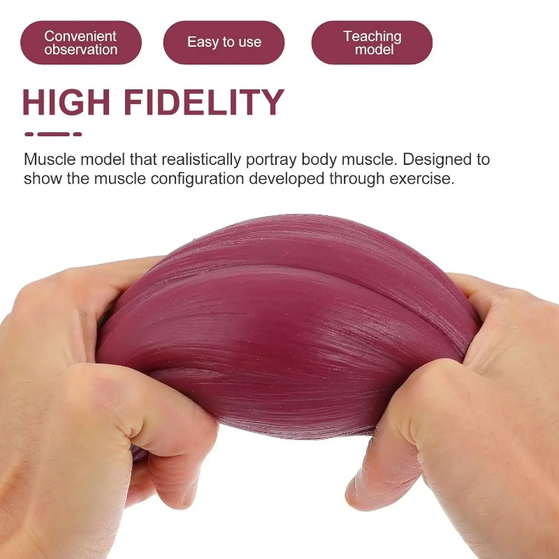 1-pound Human Muscle and Fat R - đánh giá và giá Fitness With Nutrition