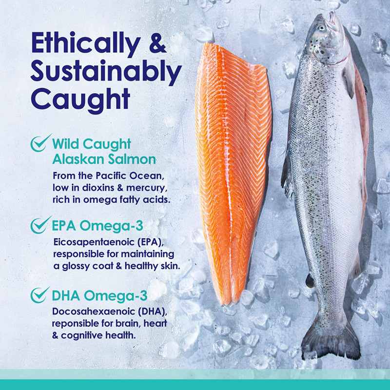 Omega 3 Fish Oil for Dogs, Wil - đánh giá và giá Omega 3 Fish Oil
