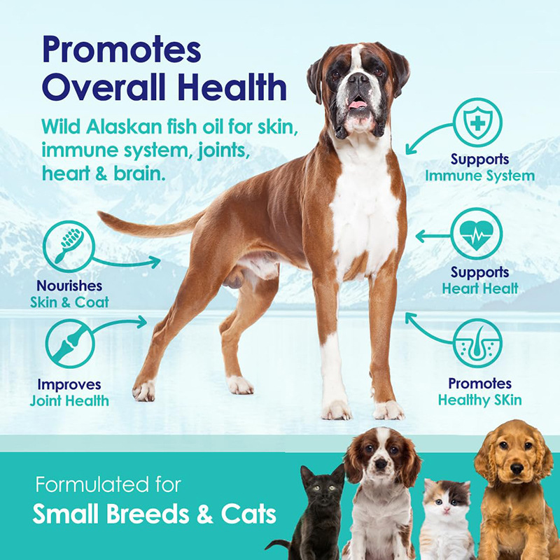 Omega 3 Fish Oil for Dogs, Wil - đánh giá và giá Omega 3 Fish Oil