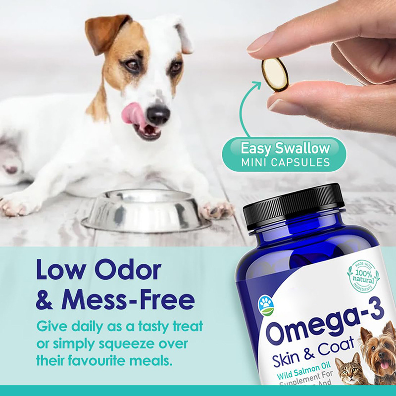 Omega 3 Fish Oil for Dogs, Wil - đánh giá và giá Omega 3 Fish Oil