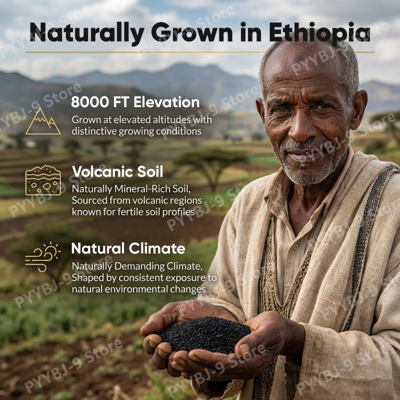 Ethiopian Black Seed Oil Softg - đánh giá và giá Black Seed Oil Capsule
